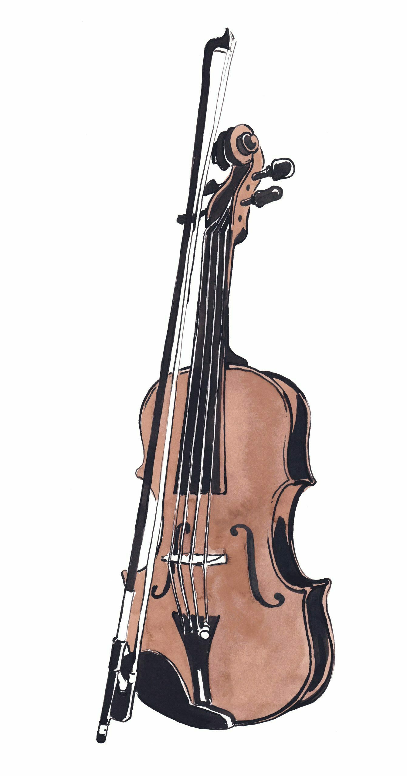 Violon couleur